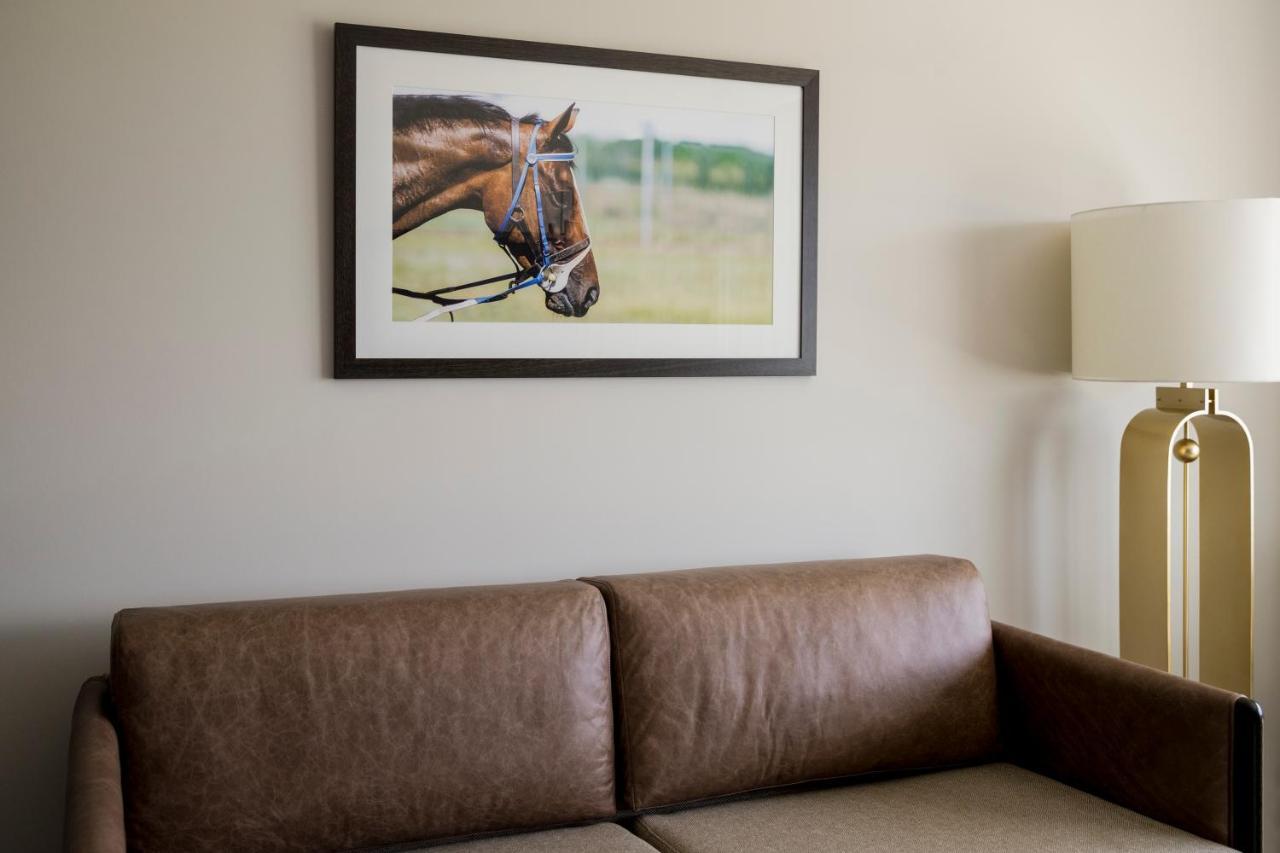 The William Inglis Mgallery Warwick Farm Exterior foto A framed photograph of a horse